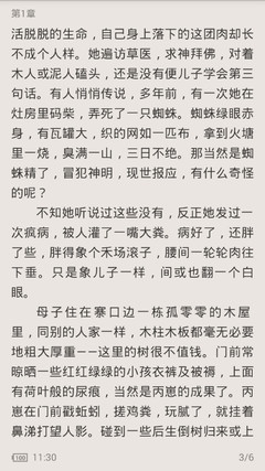 什么情况下持有新加坡签证会被拒绝入境？